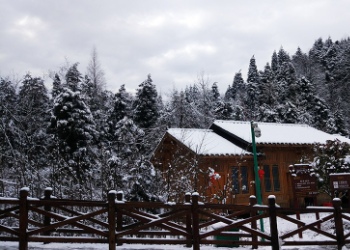 过年跑去张家界玩了，这是第一次去如此美丽的景点游玩，回忆深刻，也是从这次后喜欢上了旅游